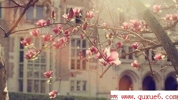 йͳز                    www.quxue6.com