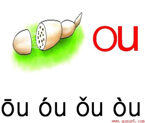 www.quxue6.comСѧ