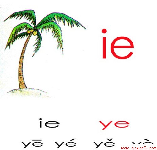 www.quxue6.comСѧ